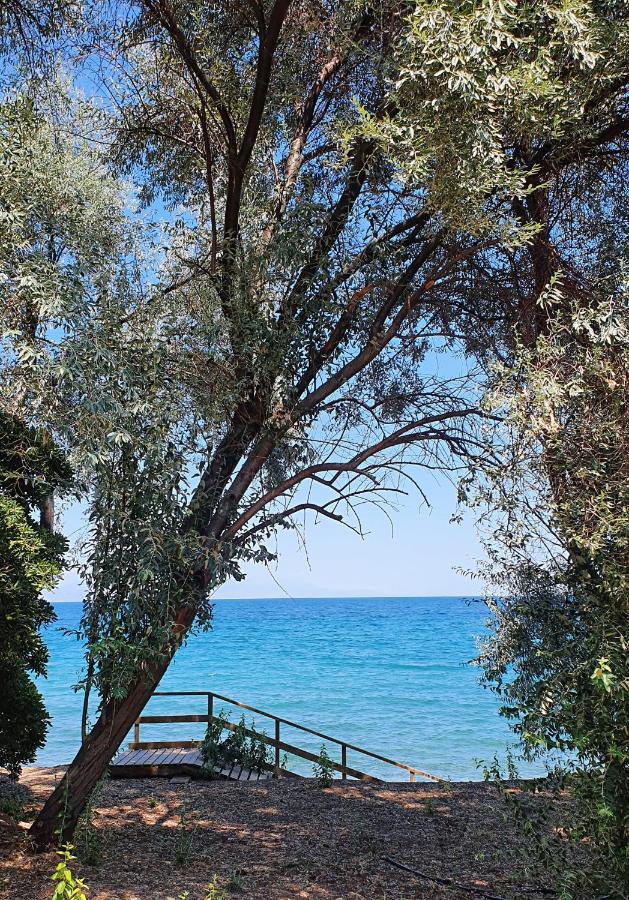 Villa Al-Ari Диакоптон Экстерьер фото